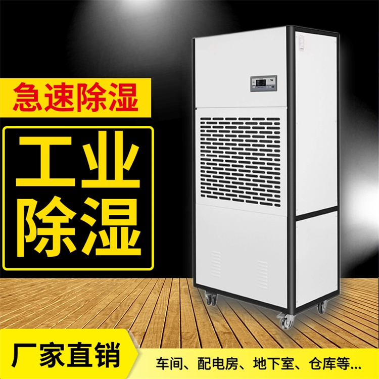 檔案室除濕秘籍：科技守護知識資產的“氣候保險”